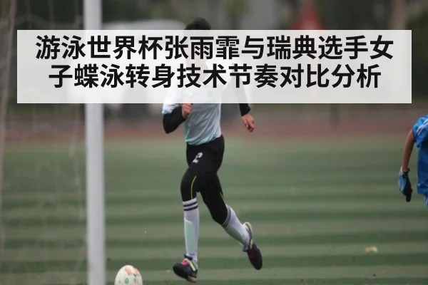 游泳世界杯张雨霏与瑞典选手女子蝶泳转身技术节奏对比分析